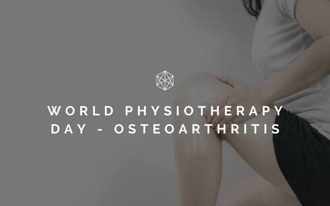 World Physiotherapy Day 2022